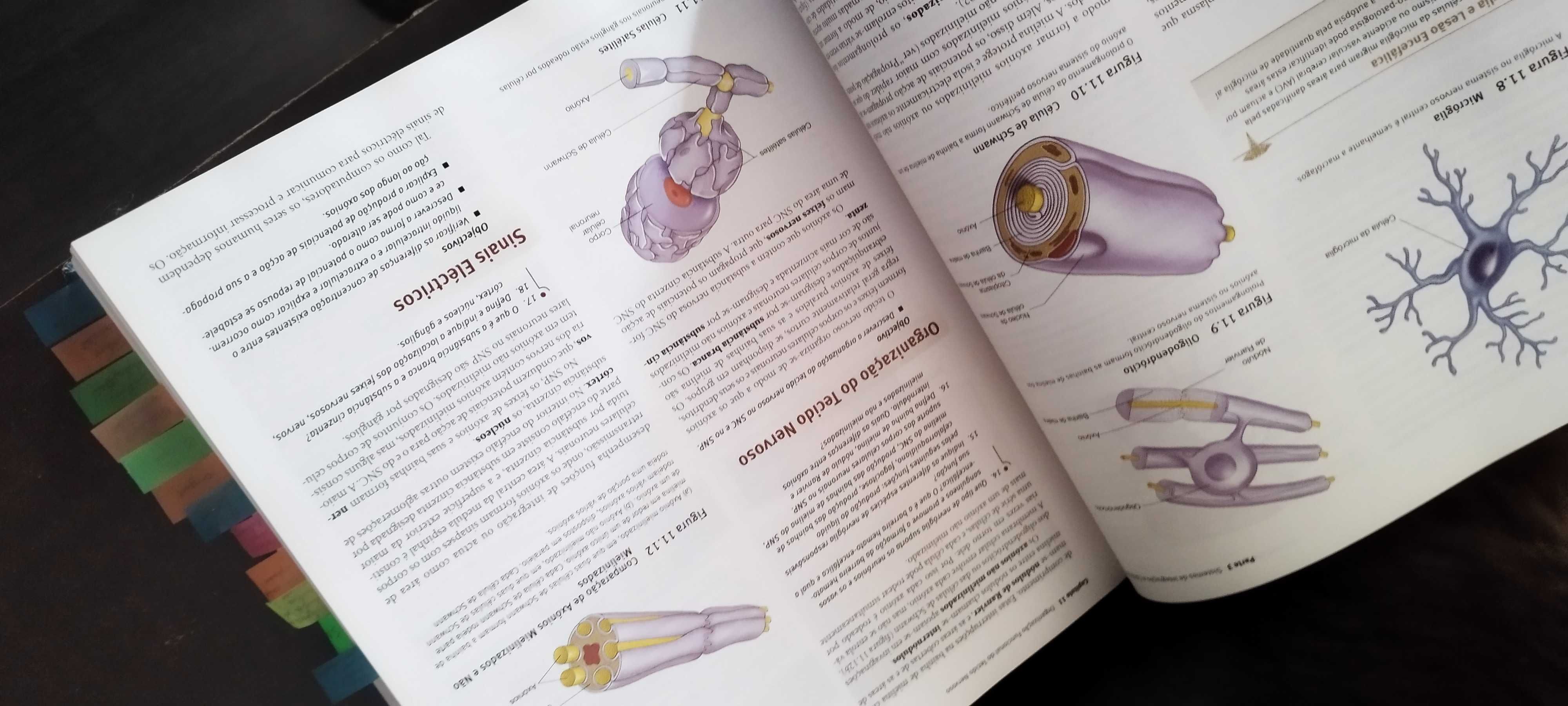 Livro Anatomia & Fisiologia.