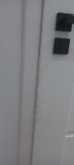 Drzwi wewnętrzne do WC 60  - bez klamki