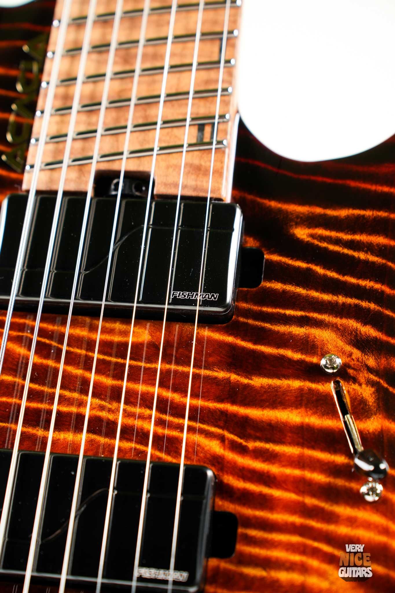 Acacia Medusa 7 Custom