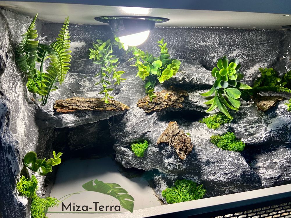 Terrarium 80x40x50