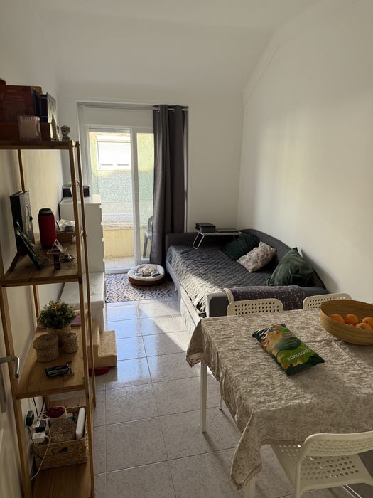 Tomar conta/ Passeio de caẽs. Dog walking. Petsitting. Pet care