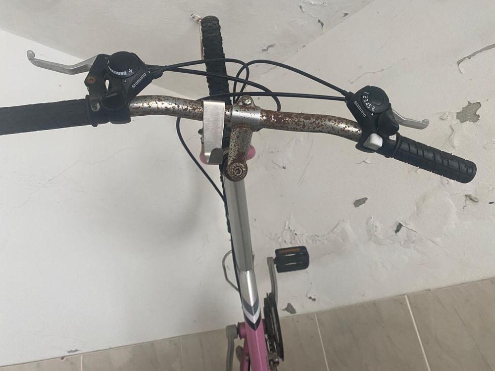 Bicicleta - Bicicletas Coelho