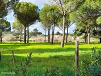 Terreno em Grândola e Santa Margarida da Serra de 41000,00 m2