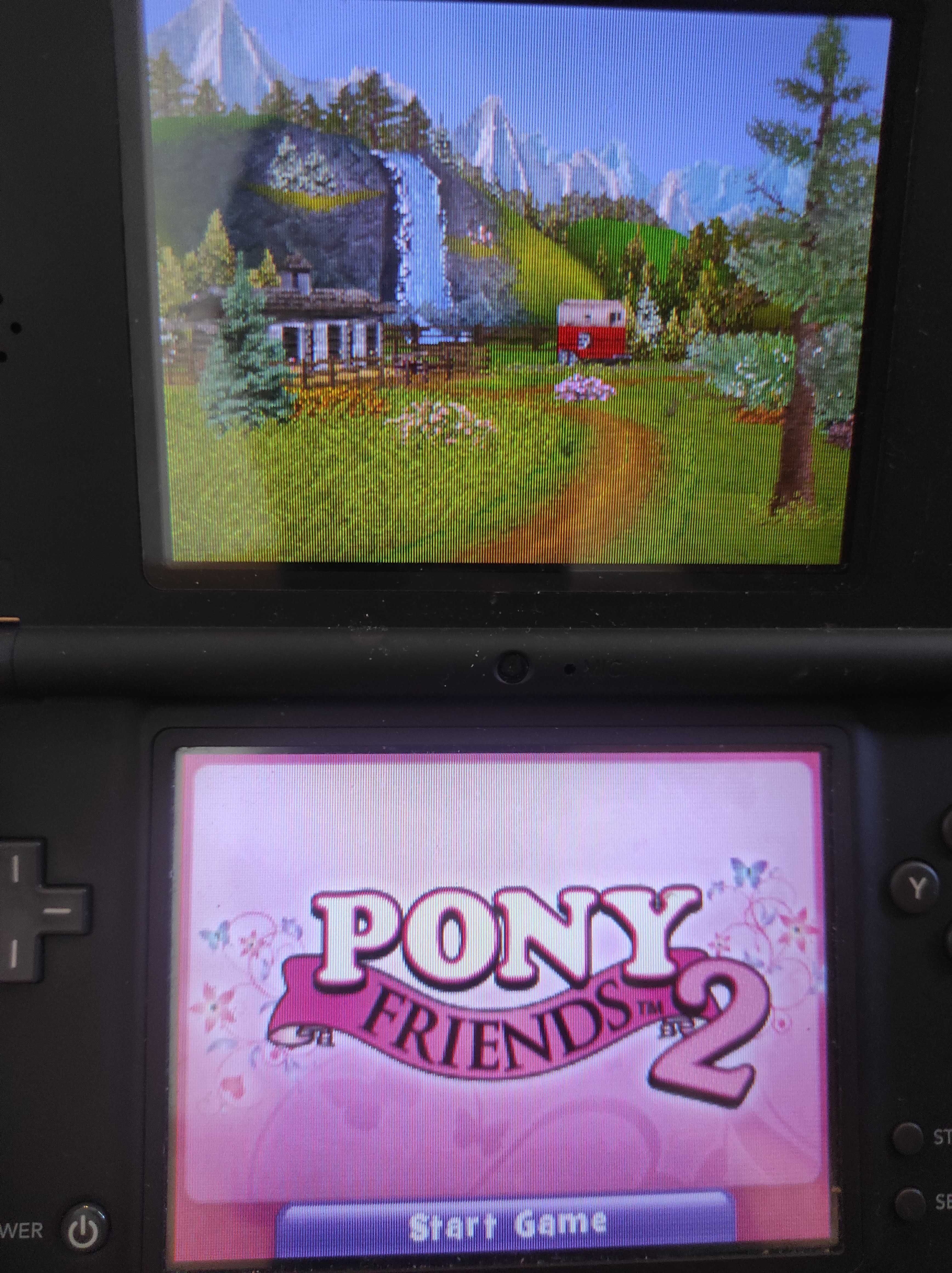 Gra Nintendo DS Pony Friends 2