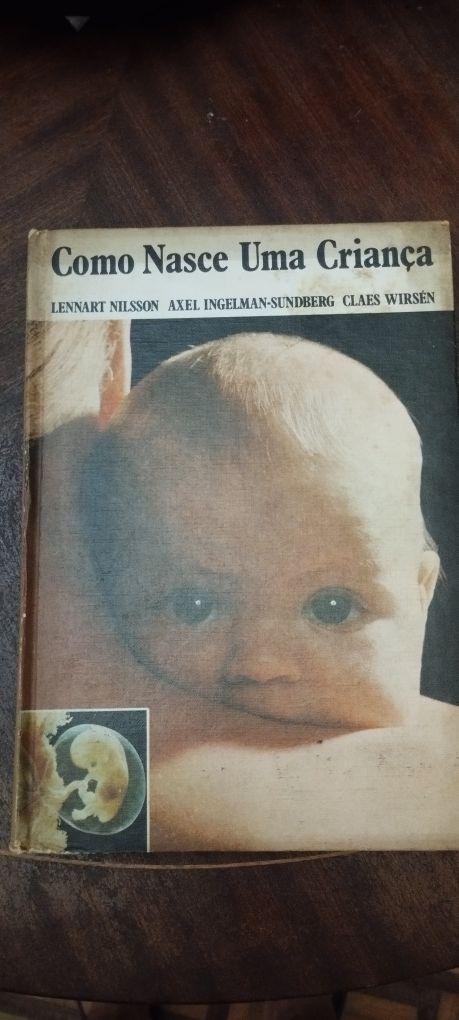 Como nasce uma criança