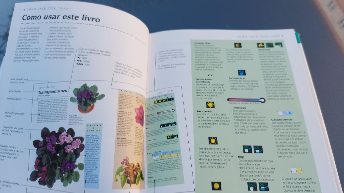 Manual Prático de Plantas do Interior de Jane Bland e William Davidson