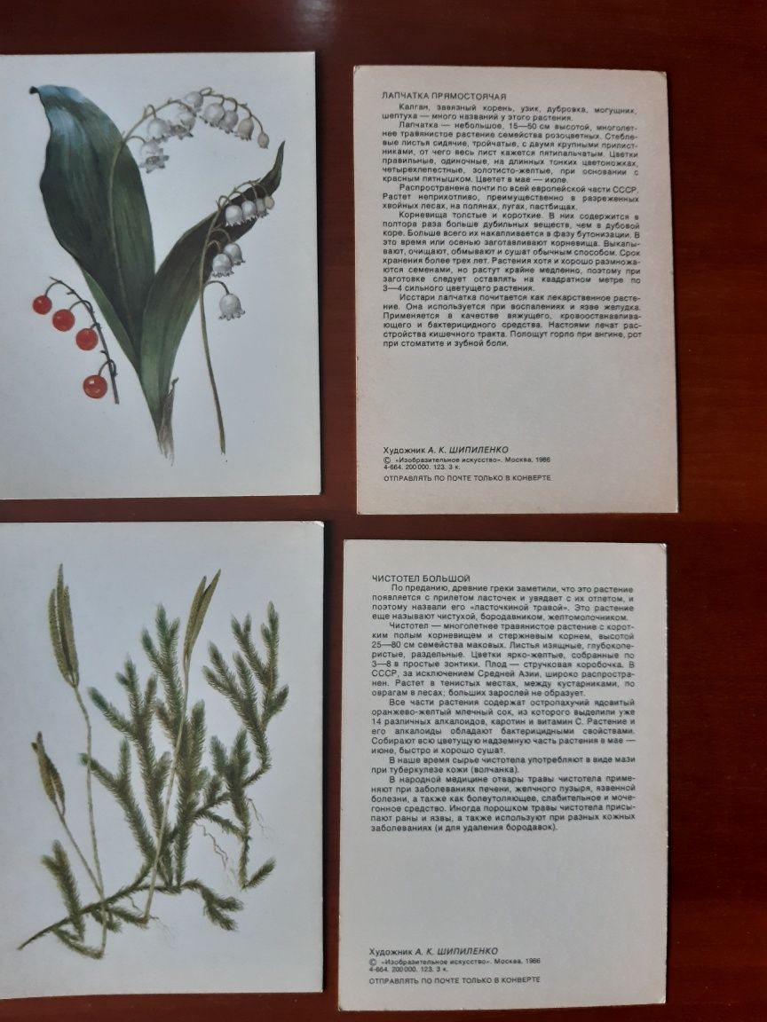 Лекарственные растения леса