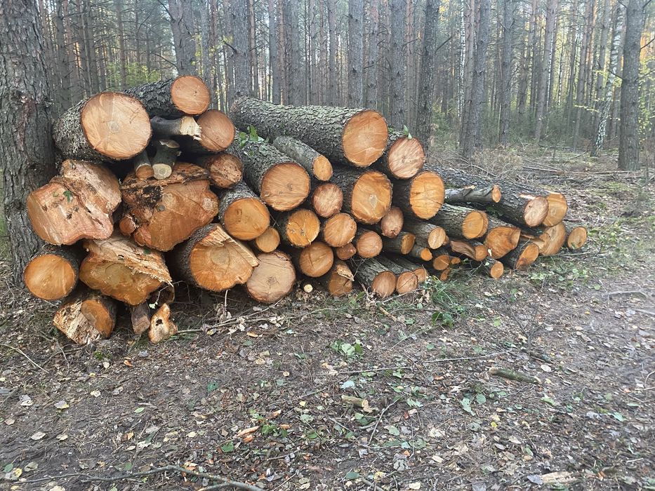 Drewno opałowe lub do przetarcia olcha plus brzoza