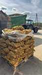 Ziemniaki prosto ze wsi 15 kg worki hurtowo