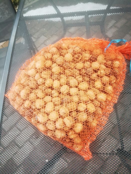 Orzechy włoskie 5 kg