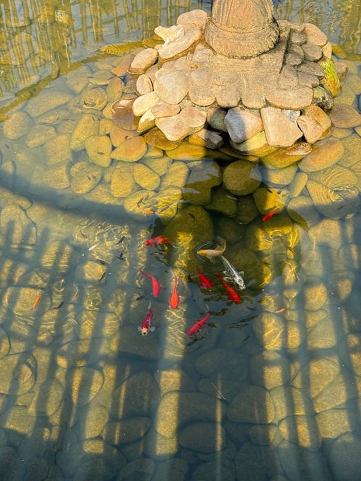 Продаж Діючого Ресторану 414м2 з ділянкою 35сот Луцьк