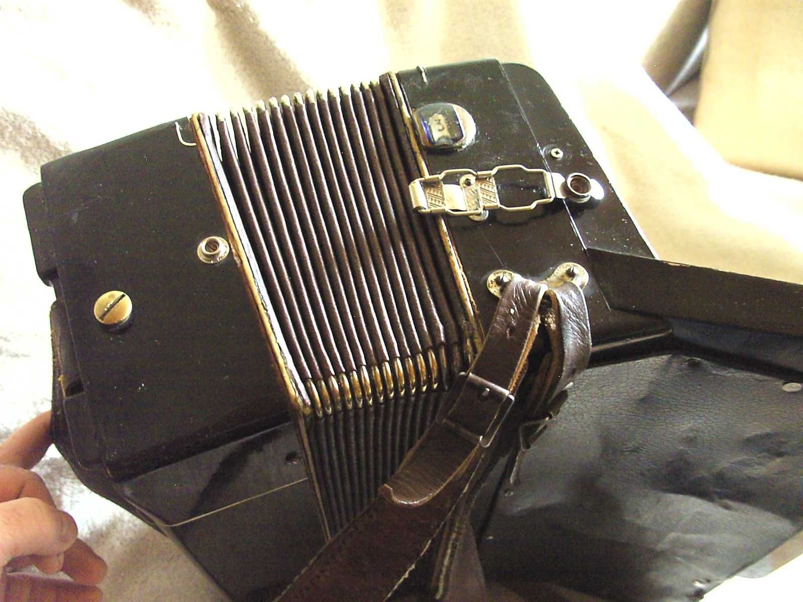 Hohner VERDI I 120B