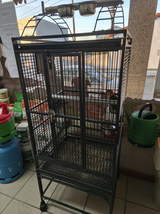 Gaiola papagaio excelente