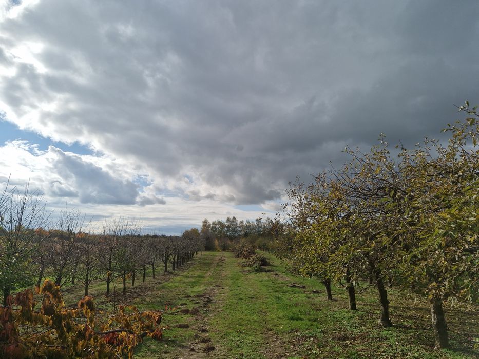 Działka budowlana Chwałko klasa IIIB