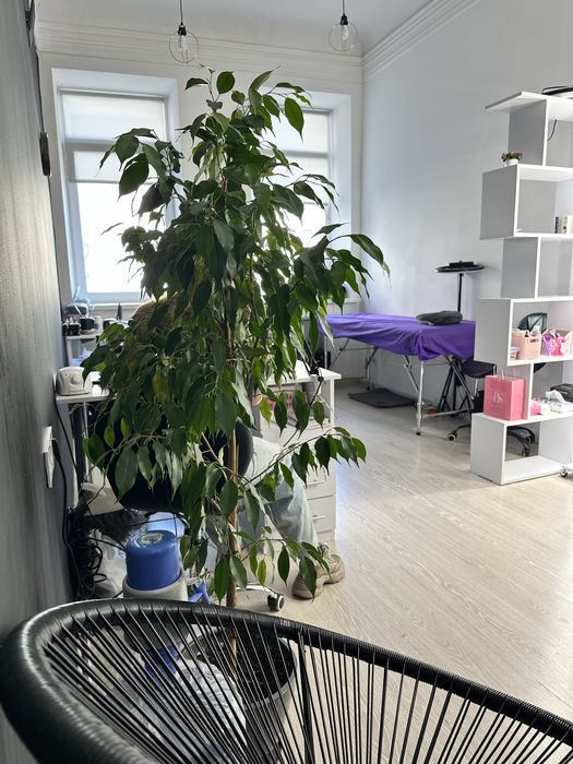 Аренда кушетки центр+слул бровиста бесплатно!