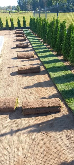 Trawa z rolki/ Trawnik w rolce/ transport/montaż