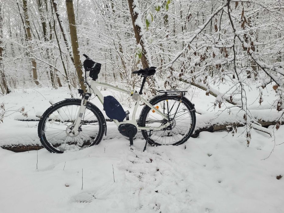 Rower elektryczny Rose xtra watt rohloff speedhub14/500 shimano xt