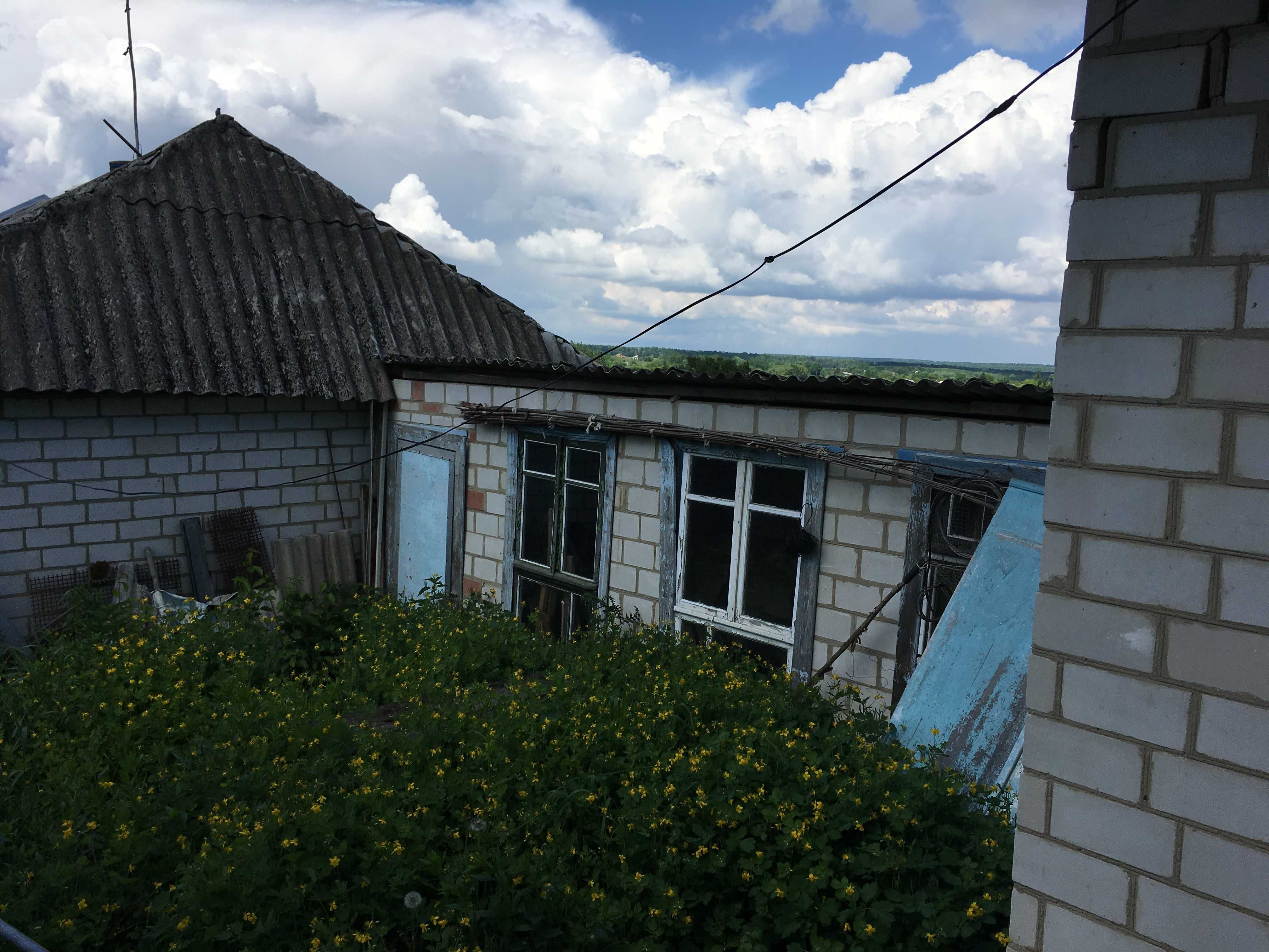 Будинок в селі Могилівка