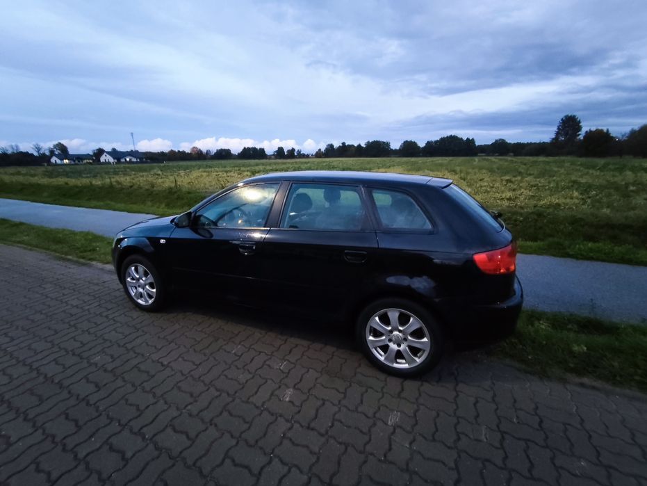 Audi A3 8P 1.6 mpi benzyna