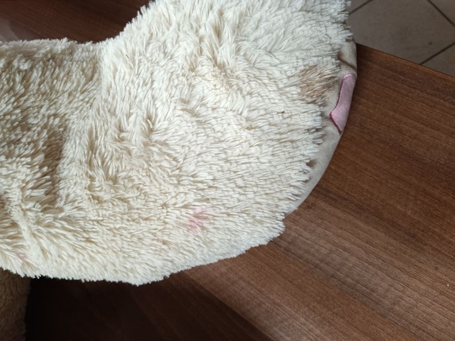 Miś pluszak misiek duży kremowy do wyczyszczenia