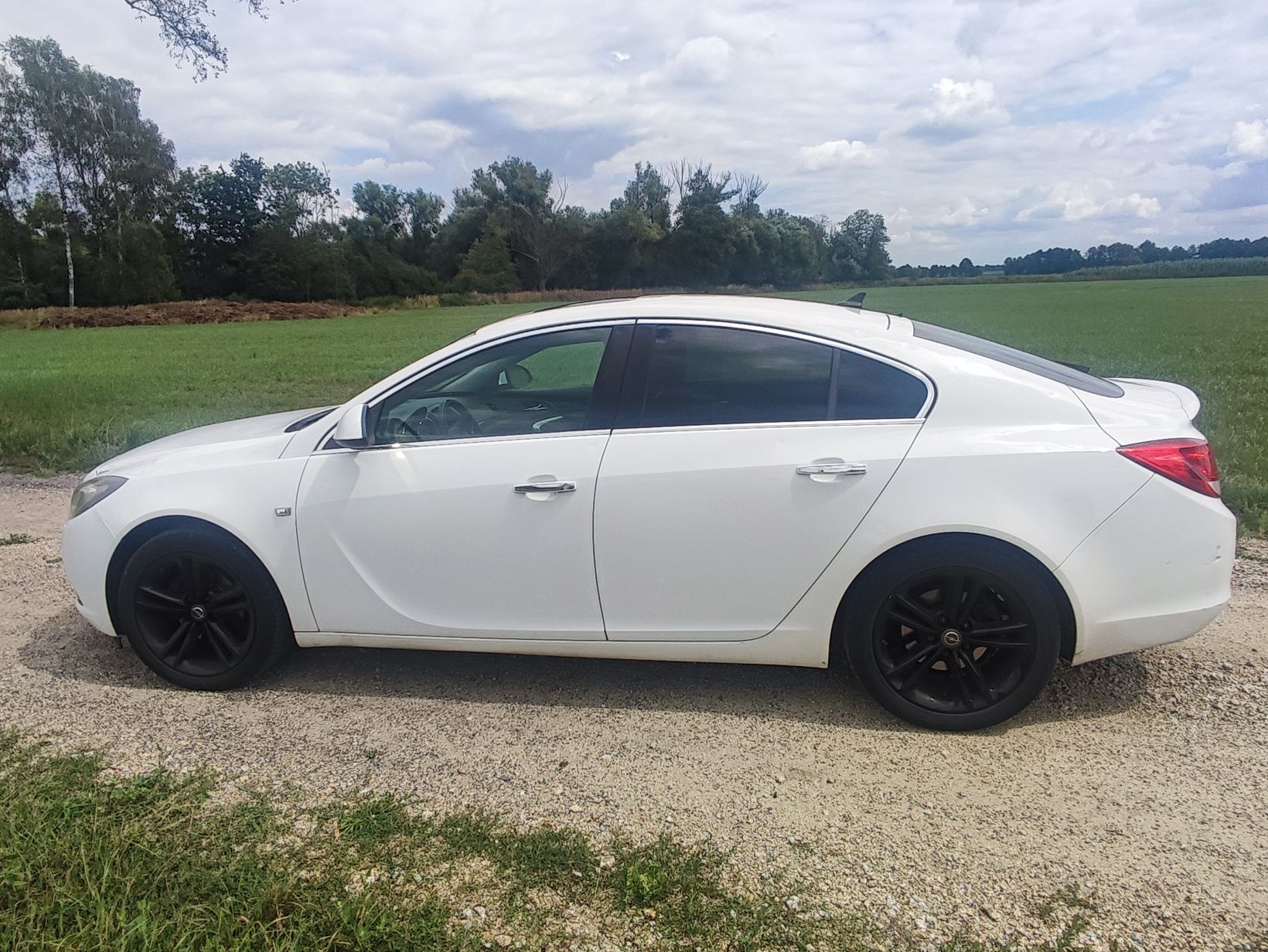 Opel Insignia 2010r. 2.0cdti 130KM