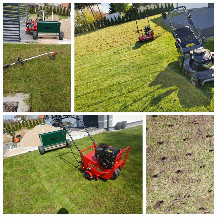 Strzyżenie żywopłotów Wycinka drzew  wertykulacja zakladanie ogro