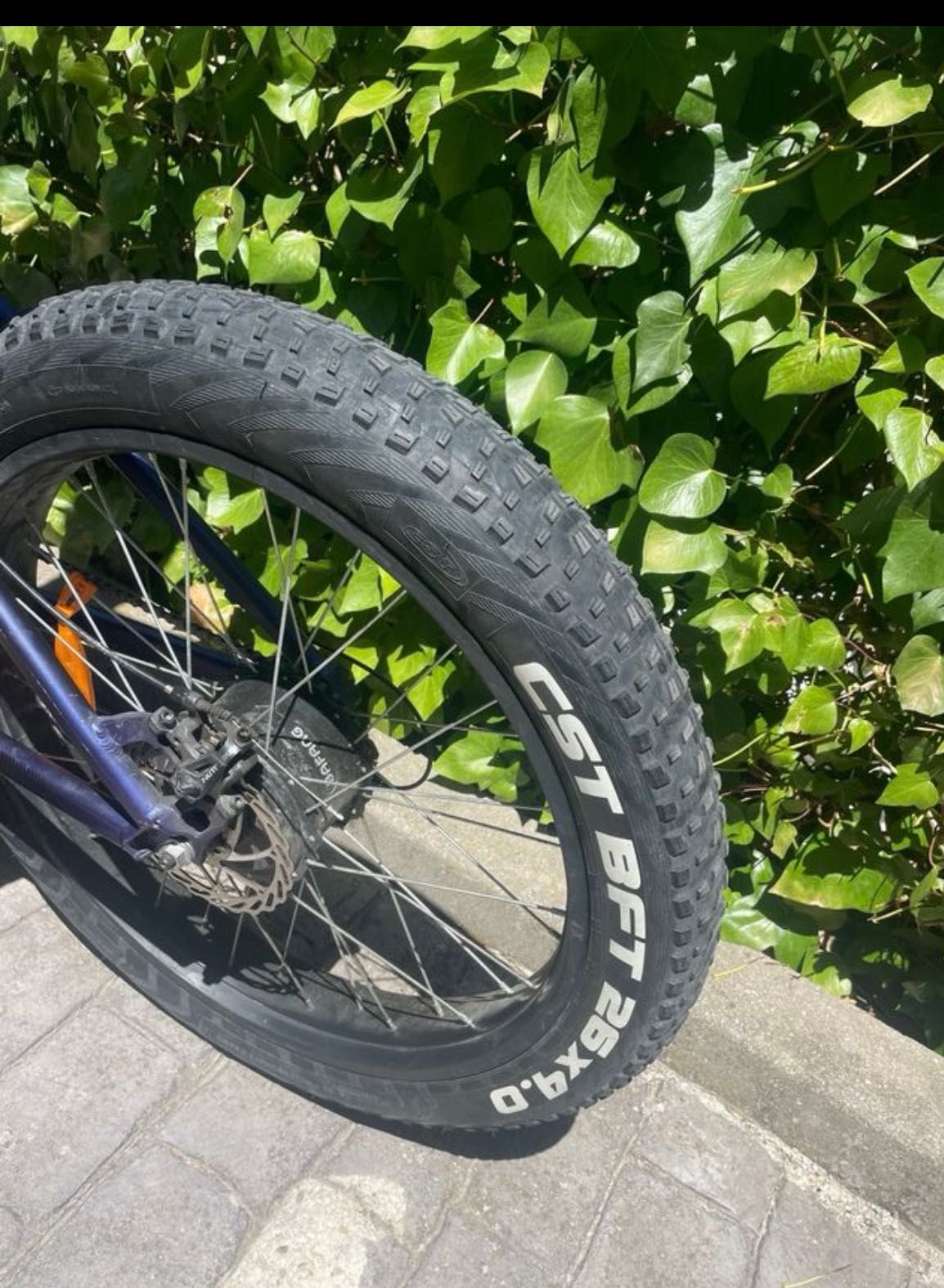 E-Bike Totem, Fatbike 26'' Wild Boar
