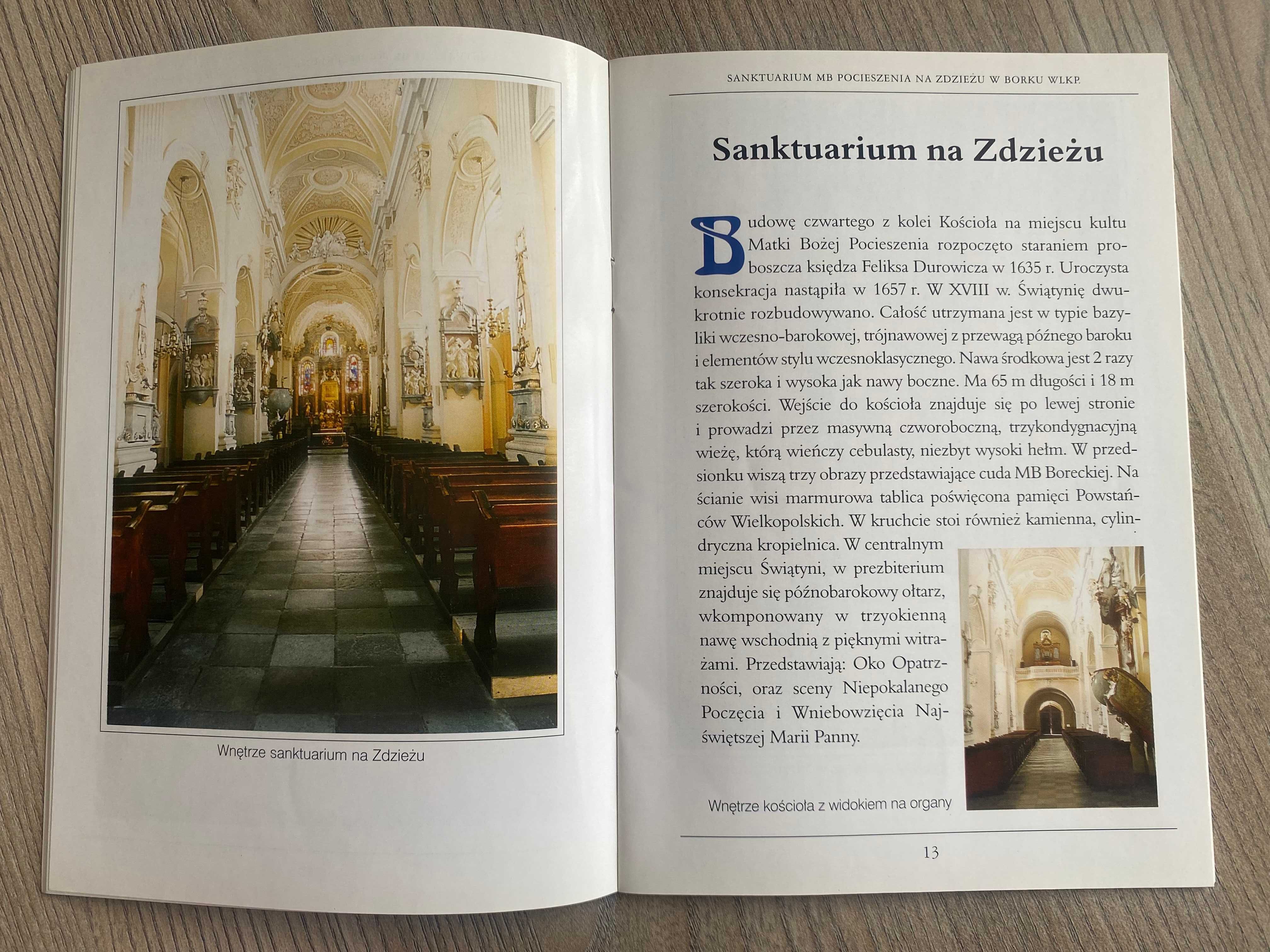 Sanktuarium Matki Bożej Pocieszenia na Zdzieżu w Borku Wlkp. książka