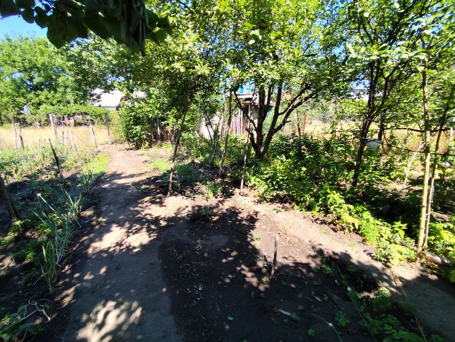 Село Бузьке СТ "Дружба", вулиця Верхня