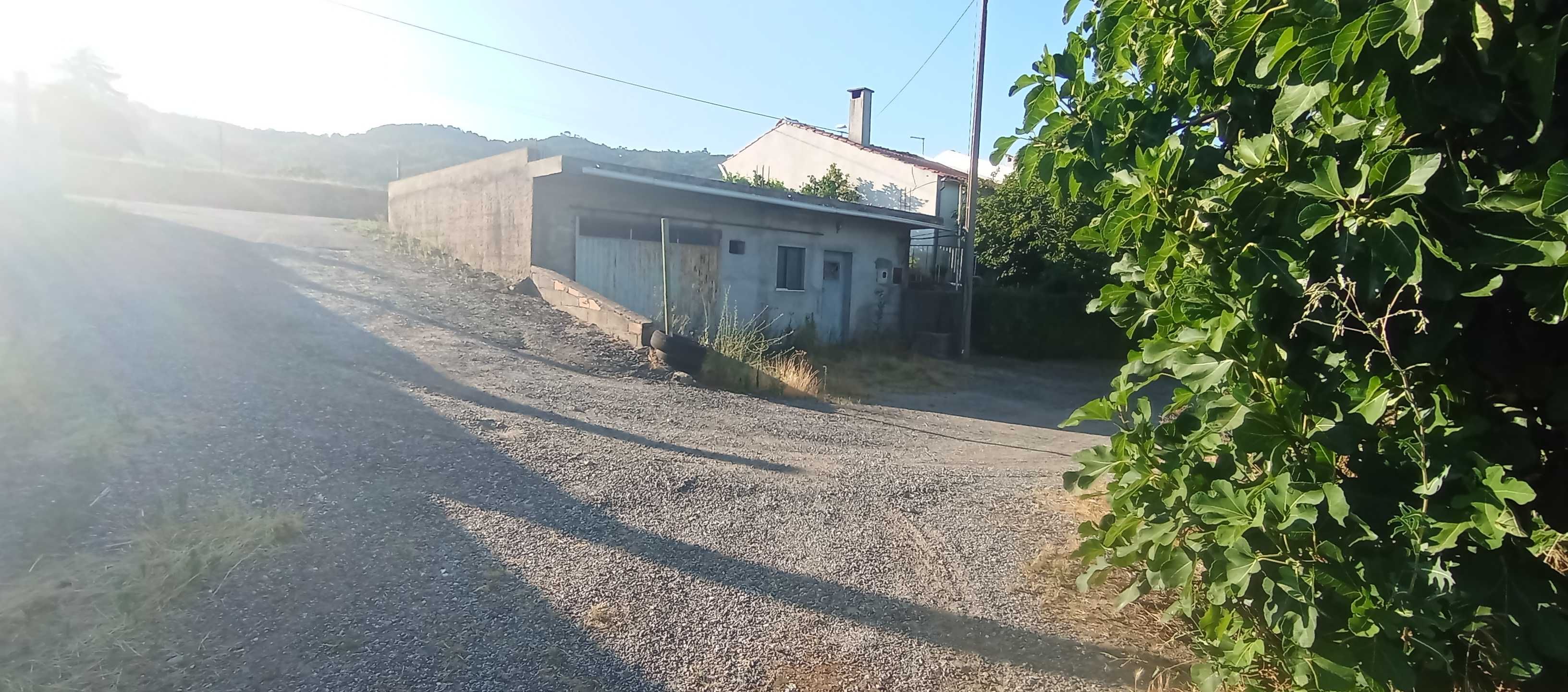 Imóvel p/ recuperar e Plantações.