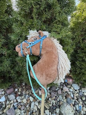 Hobby horse izabelowaty
