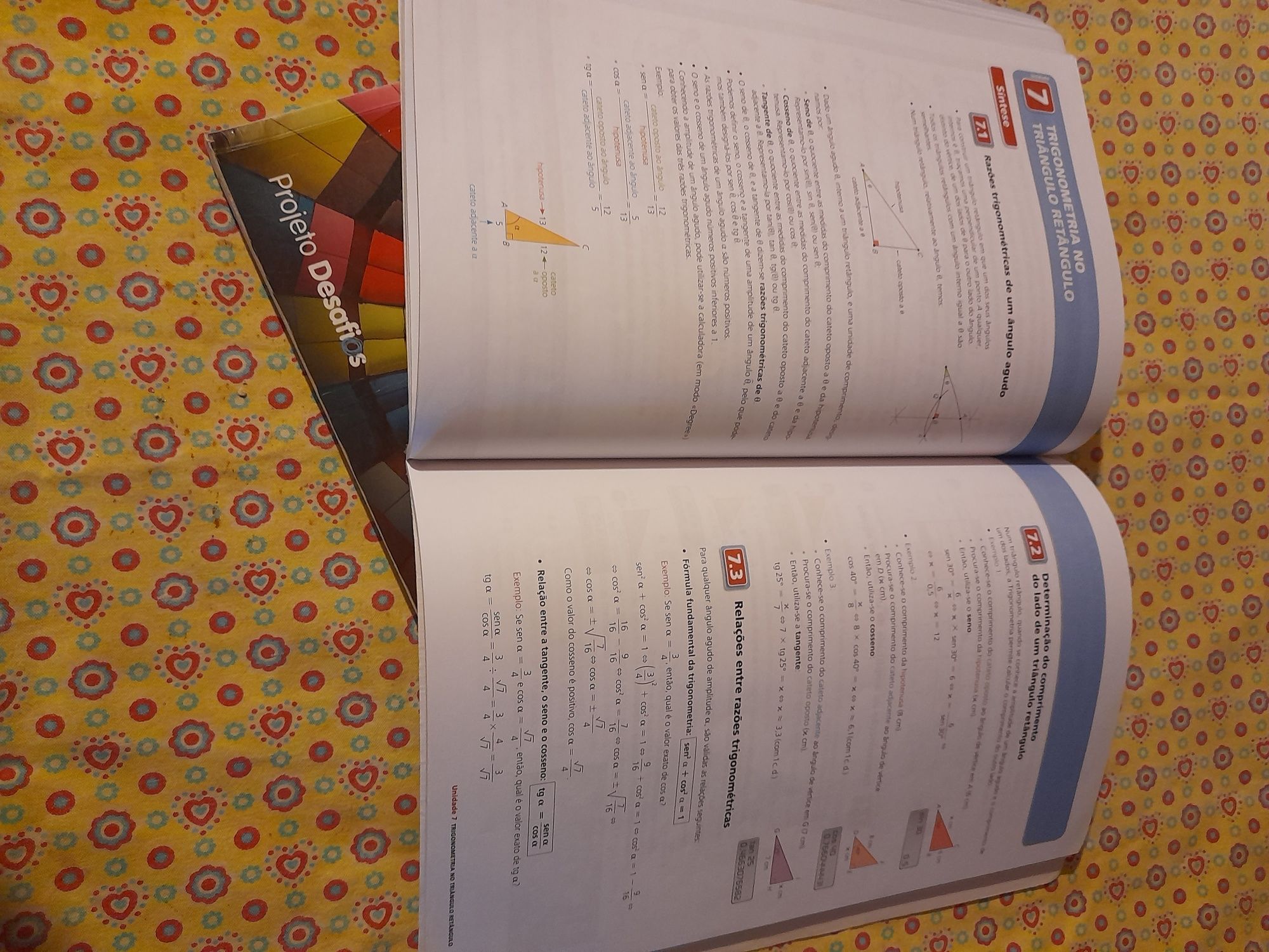 Caderno atividades- Projetos Desafios- Matemática 9 ano- Santillana