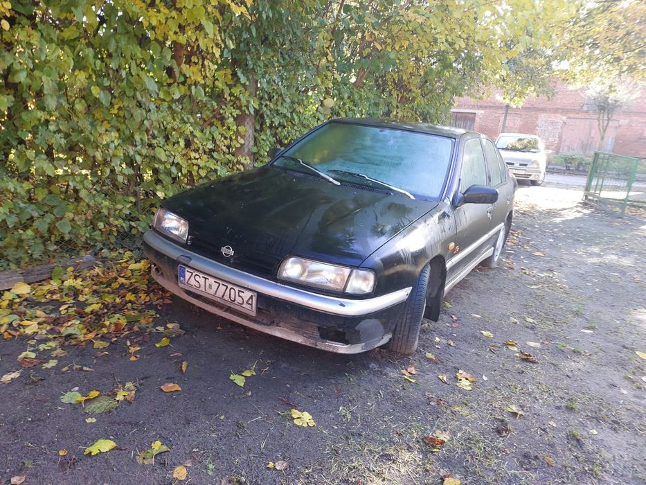Nissan Primera 1,6 P10 gaz, vebasto, alufelgi rok 96