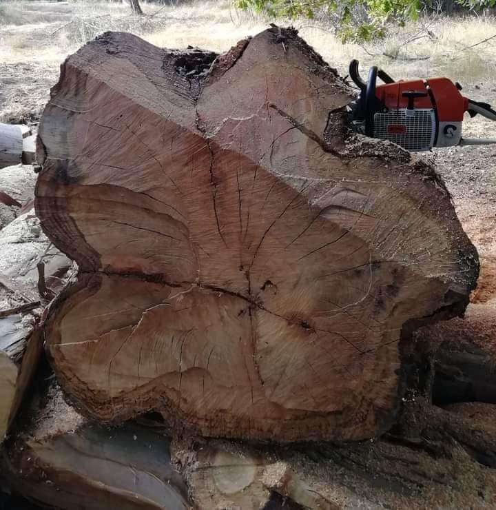 Limpeza de Terrenos
