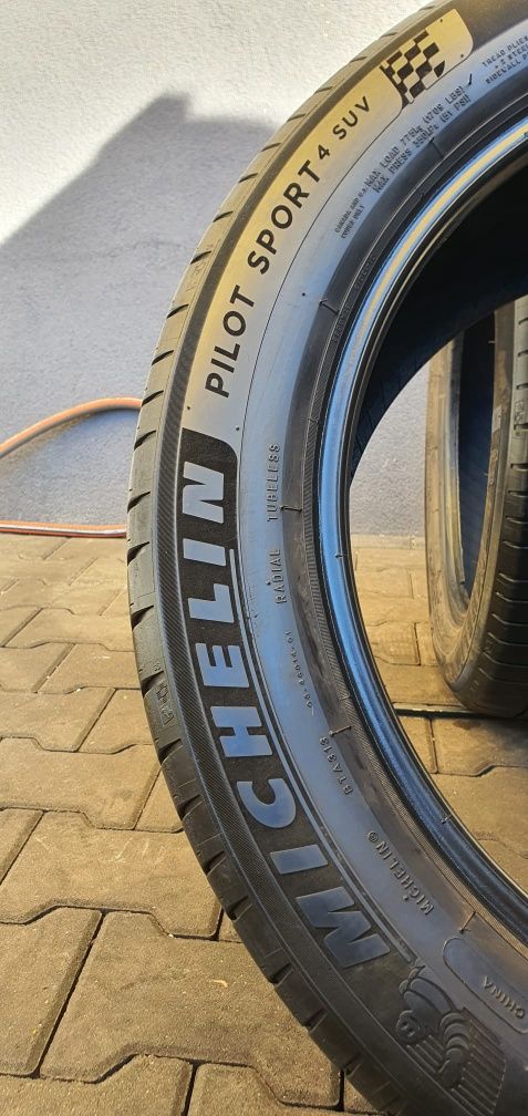 225/55/19 Michelin para