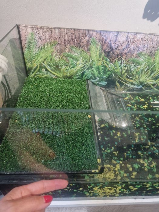 Akwarium z wyposażeniem dla żółwia