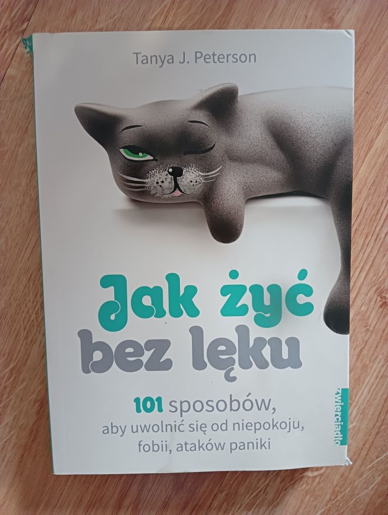 Jak żyć bez leku 101 sposobów aby uwolnić się od niepokoju, fobii