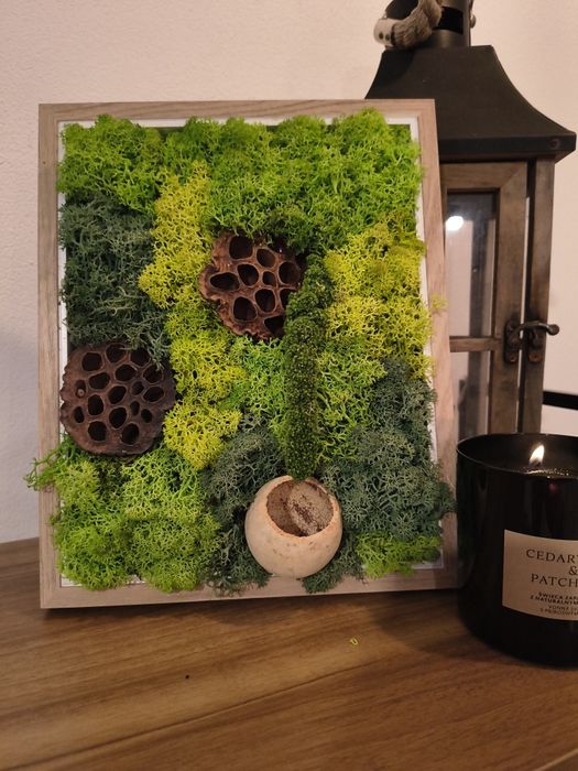 Obraz z mchu chrobotka