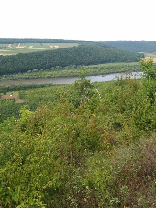 Продаж ділянки 10 соток Дністровський каньйон