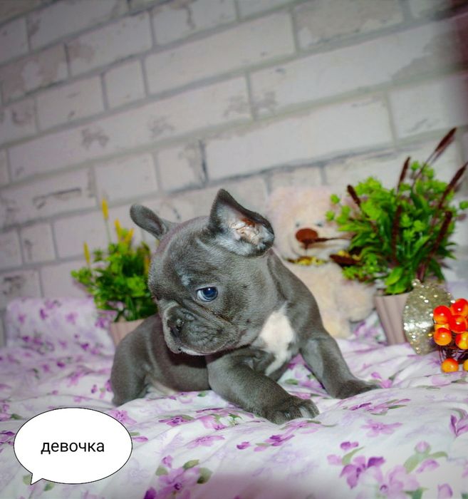 Супер детки ждут Вас