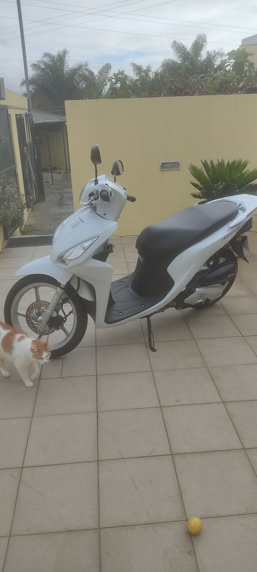 Motos de aluguel disponíveis