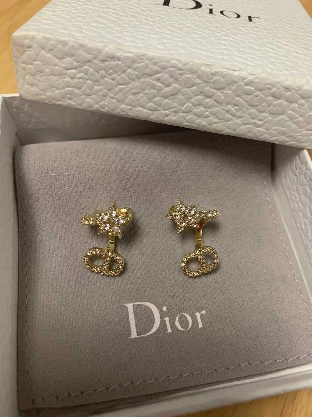 Exquisite earrings