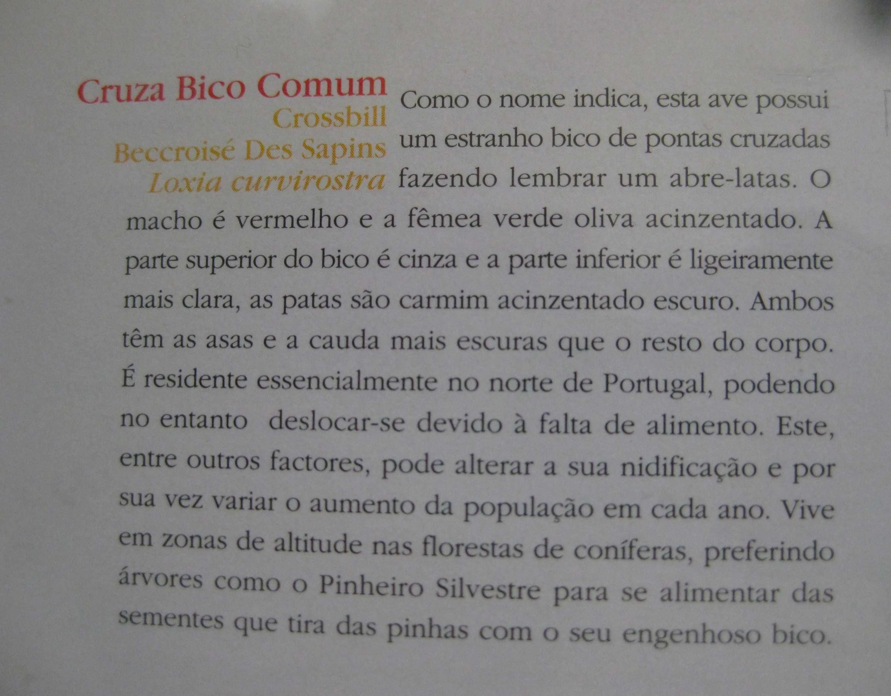 Carteira de Selos Aves (5º Grupo) 2004 sem Selos