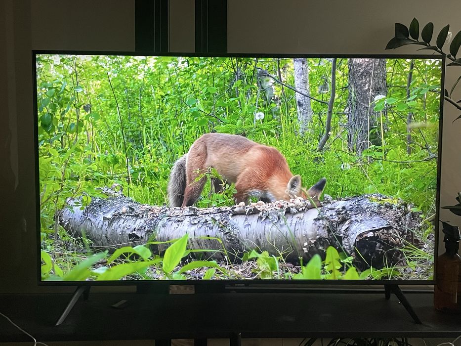 Samsung 43” Телевизор UE43CU7100XUA