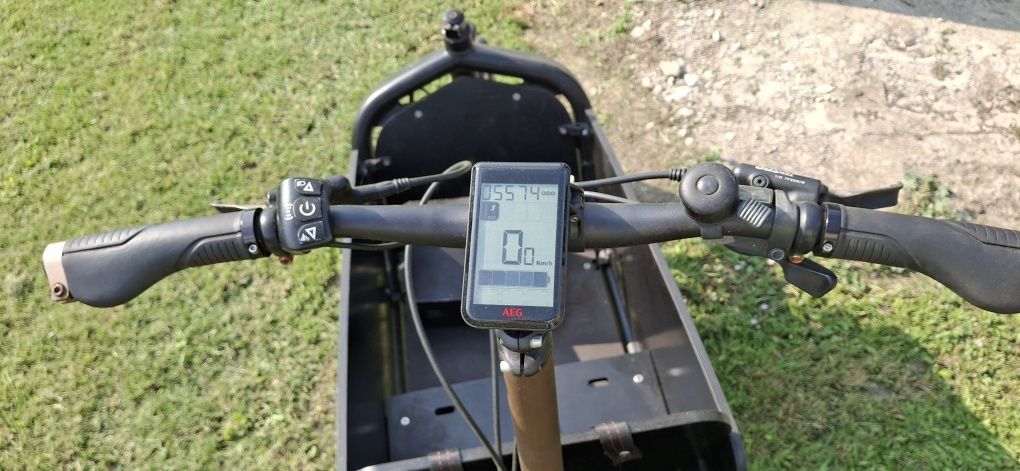 Ryksza Elektryczna