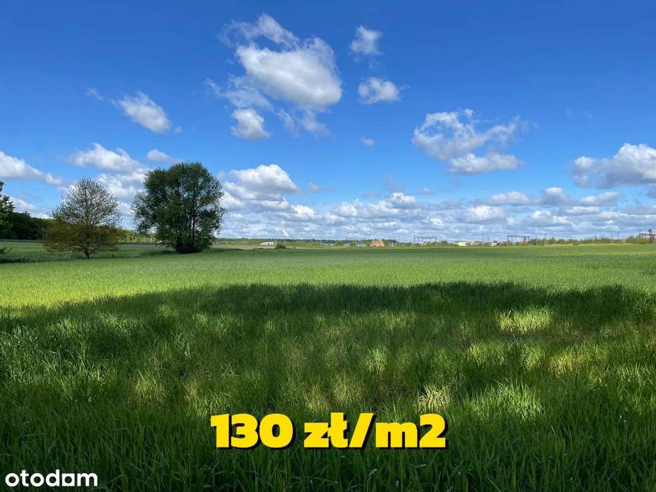 Działki budowlane / Kołątajew / 130 zł/m2 ul. Wiśniowa
