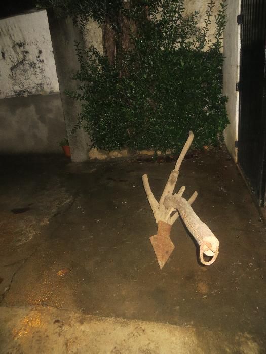 charrua de bois de madeira bico em ferro novo