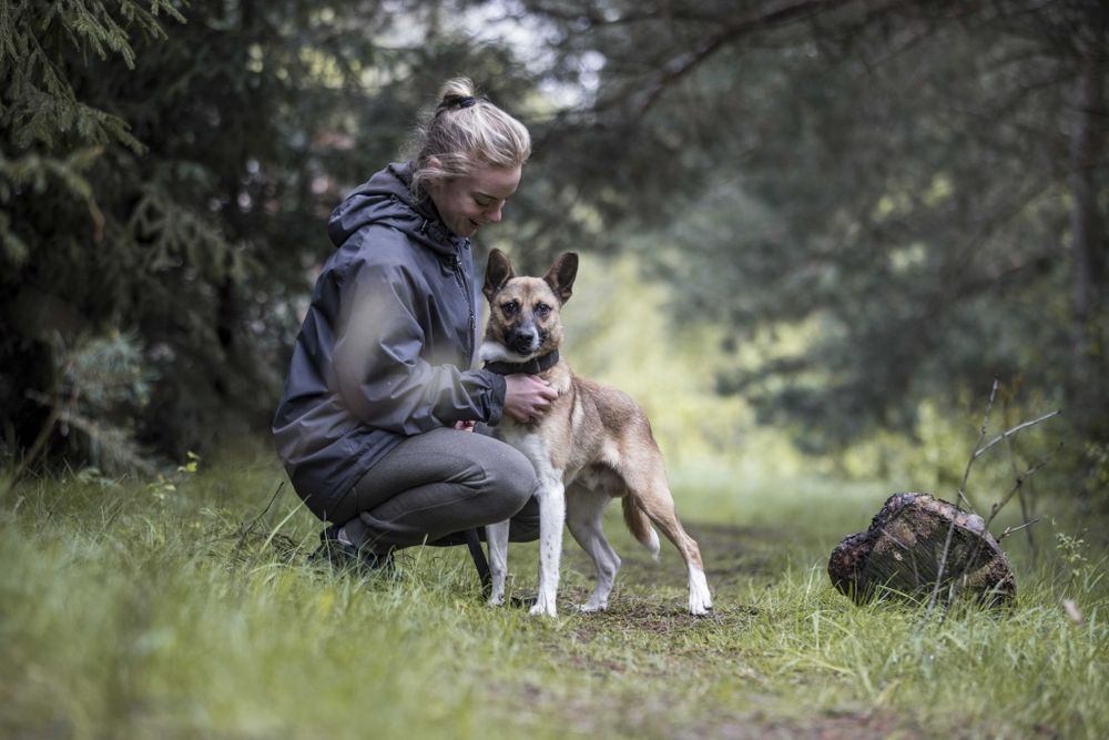 ANDRUT – 3-letni przyjaciel na całe życie, adoptuj!