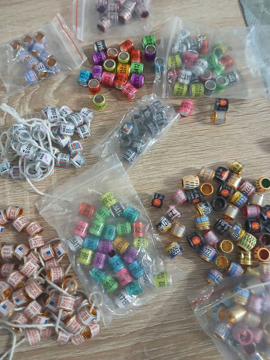 Obrączki dla gołębi pocztowych 2026