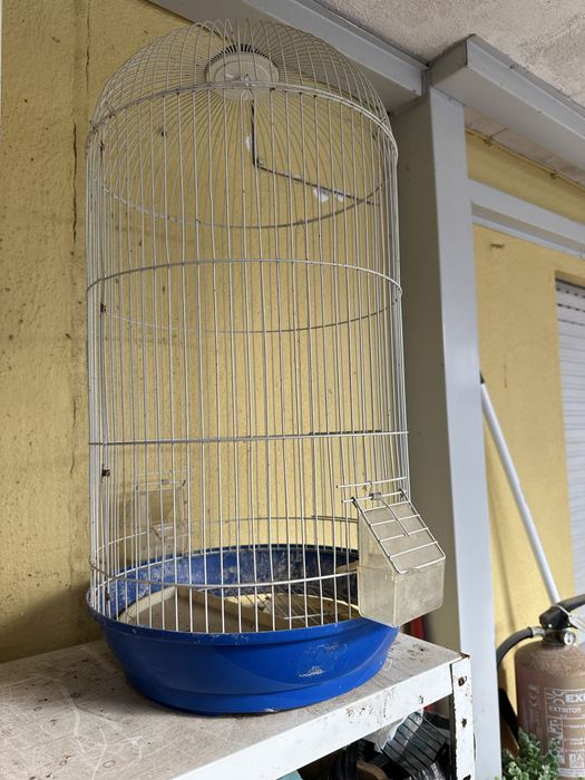 Viveiro de criação aves